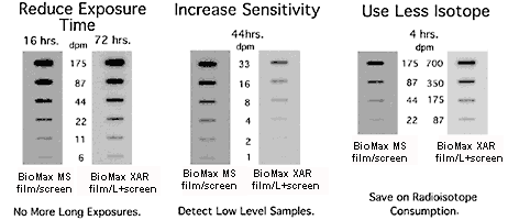 Biomax compare image 1