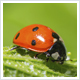Environmental Health & Safety